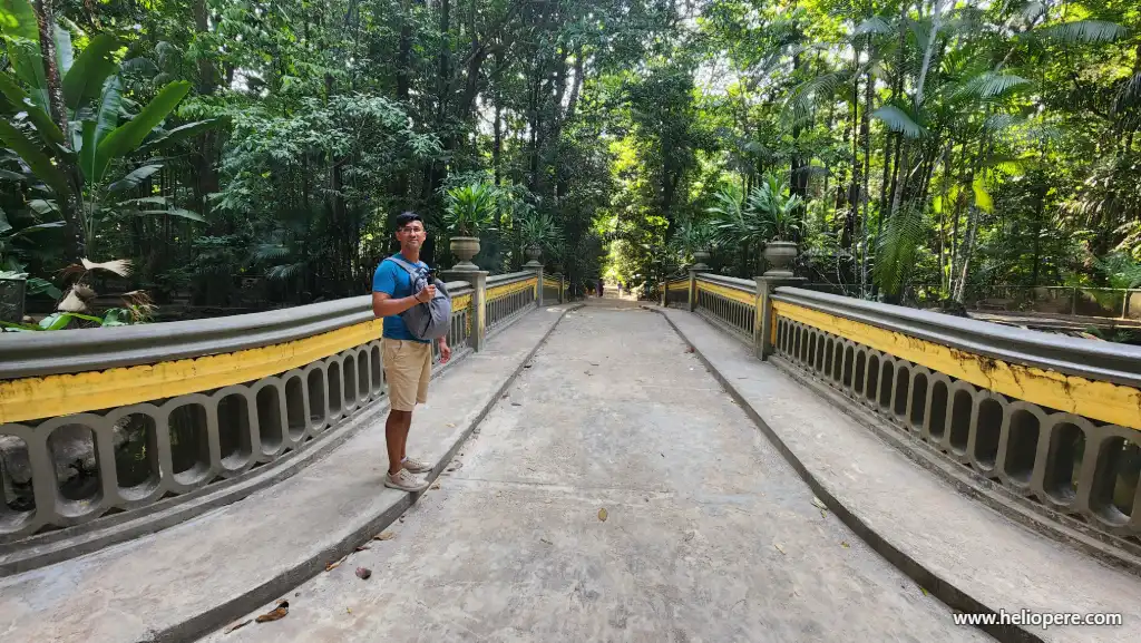 Bosque Rodrigues Alves: floresta, preguiças e história dentro da cidade