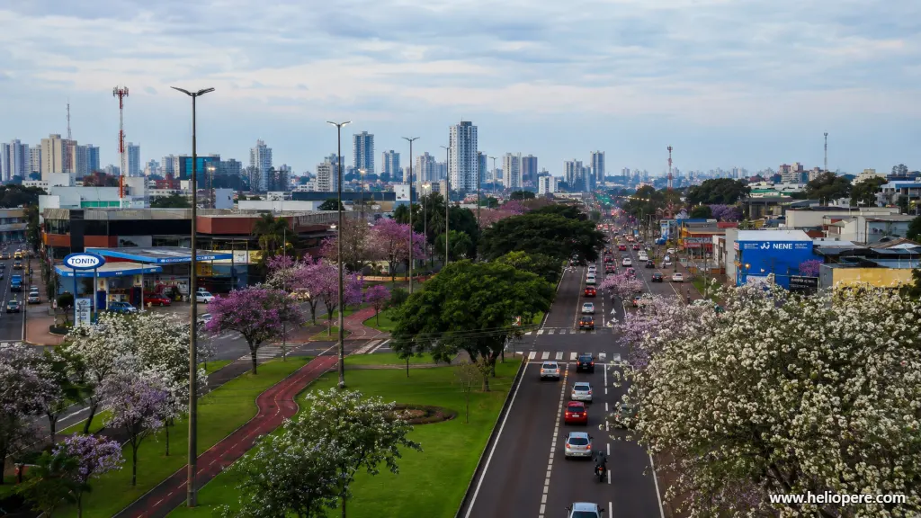 Avenida Tancredo Neves em Cascavel com ipês roxos e brancos floridos nos canteiros e a cidade ao fundo