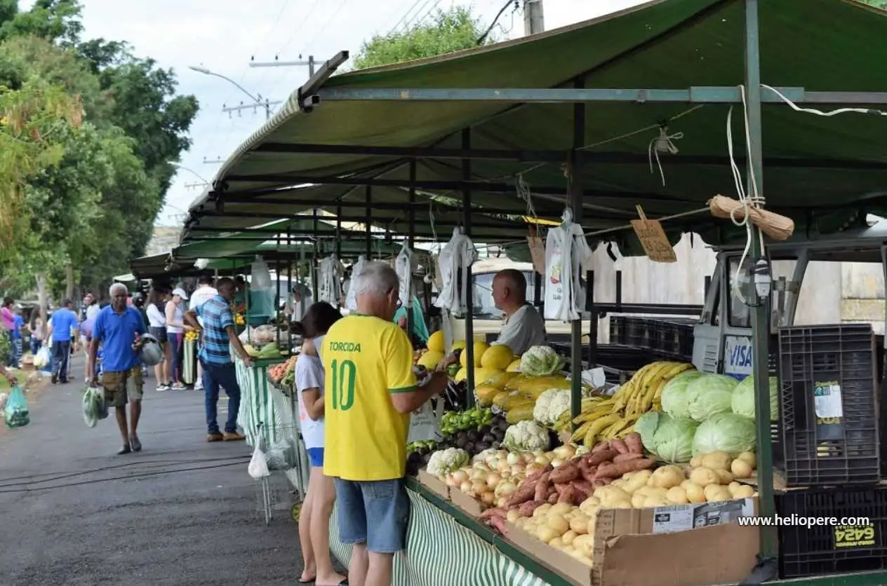 Feira de Uberlândia: preços, doces caseiros e muito pequi